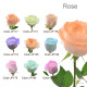 Custom Rose Bouquet Hong Kong | 100+ Colours Available | 24-Hour Same-Day Flower Delivery