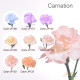 Affordable Custom Carnation Bouquet Hong Kong | 100+ Colours | Mother Anniversary Delivery