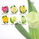 Affordable Custom Tulip Bouquet Hong Kong | 100+ Colours | 24-Hour Flower Delivery Service